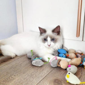 Catnip Filled Faux Fur Mouse Toys